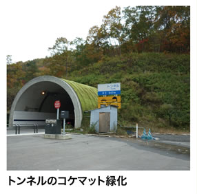 トンネルのコケマット緑化